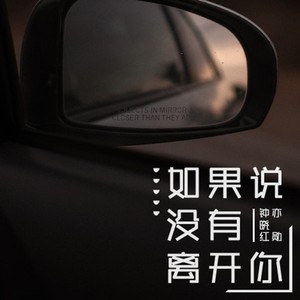 如果说没有离开你 (伴奏)