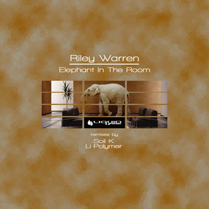 Elephant In The Room (Li-Polymer Remix)
