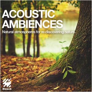 Acoustic Ambiences