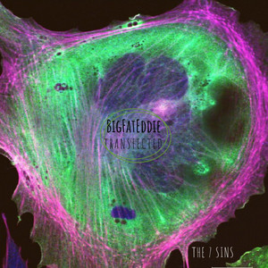 Transfected