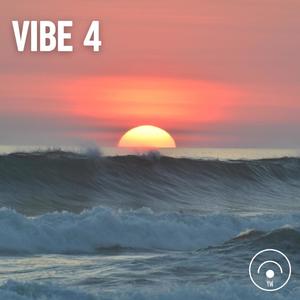 VIBE 4 (Explicit)