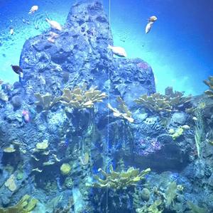 No me trates asi (feat. EdTru)