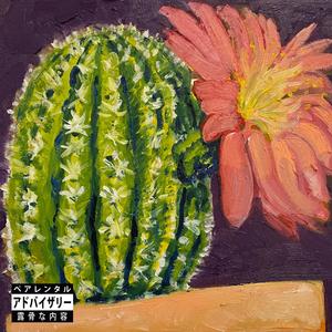 Boxing Day Sales (Explicit)