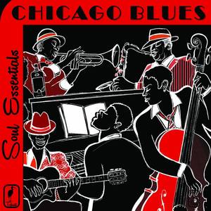 Soul Essentials the Best of Chicago Blues: Classic Blues by Muddy Waters, John Lee Hooker, Buddy Guy