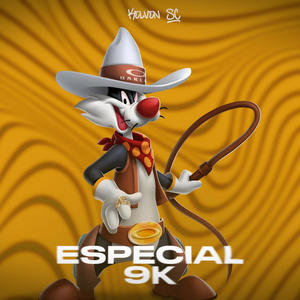 MEGA FUNK ESPECIAL 9K