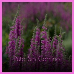 Ruta Sin Camino