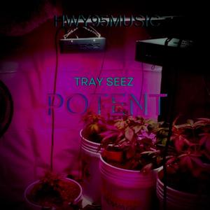 Potent (feat. Tray Seez) [Explicit]