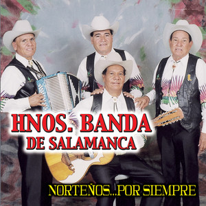 Caballo Alazán Lucero