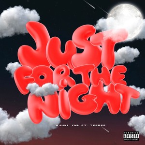 JUST FOR THE NIGHT(Prod. YNL)(feat. Teebee) (Explicit)