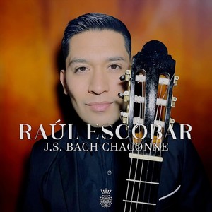 Violin Partita No. 2 in D Minor, BWV 1004 - V. Chaconna