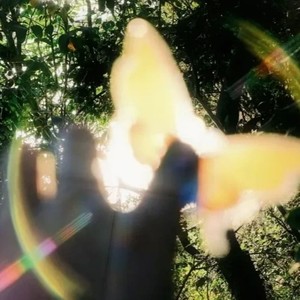 你不知道的事(0.9降调)