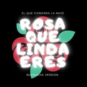 ROSA QUE LINDA ERES (GUARACHA)