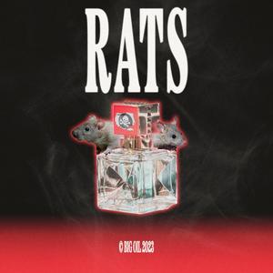 Rats