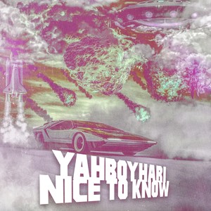 Nice To Know (Explicit)