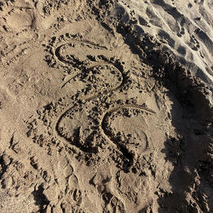 Mi veredicto (Explicit)