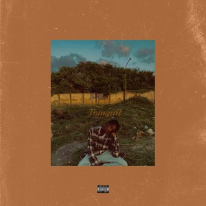 Funeral Disco (Explicit)