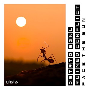 Face The Sun