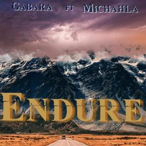 Endure (feat. Michahla)