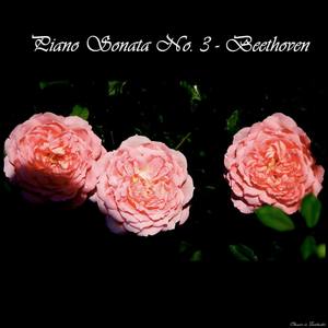 Piano Sonata no. 3 in C major, Op. 2 no. 3 - Ludwig van Beethoven - Piano Sonata No. 3 in C Major, Op. 2 No. 3: III. Scherzo Allegro