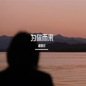 为你而来翻唱集