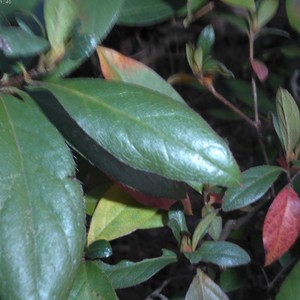 there's still hope, just hold on.