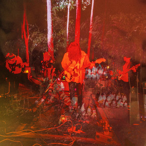 Cubensis Lenses (Live)