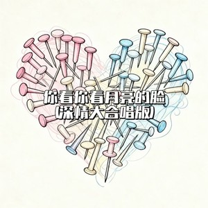 你看你看月亮的脸-大头针 Official