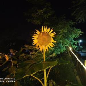 写给青春的遗书 demo