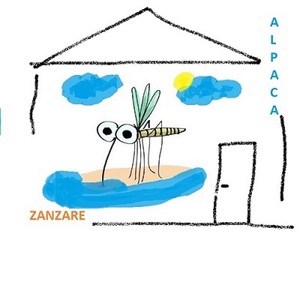 Zanzare