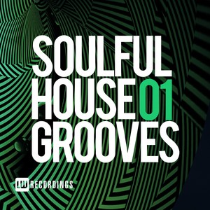 Soulful House Grooves, Vol. 01