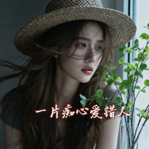 一片痴心爱错人-莫小炜