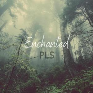 Enchanted