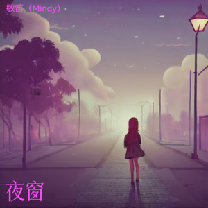 有可能的夜晚封面