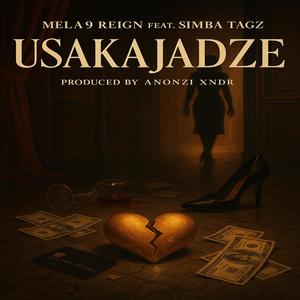 Usakajaidze (feat. Simba Tagz) (Explicit)
