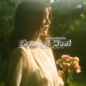 Chambei Wani (Goldson Remix)