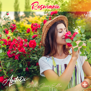 Rosmarie (Acoustic Guitar)