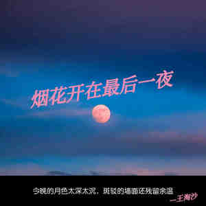 烟花开在最后一夜