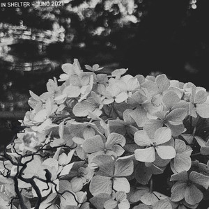 In Shelter (Slowed and Reverb)