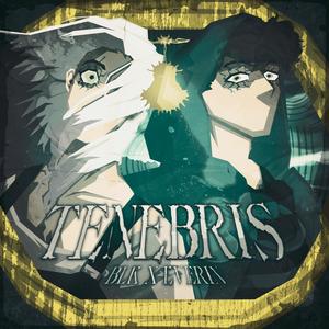 Tenebris (feat. Everin) (Slowed)
