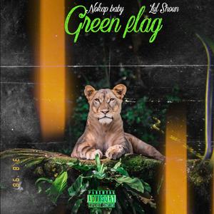 Green Flag (Explicit)