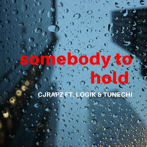 Somebody to Hold (feat. logik & tunechi) (Explicit)