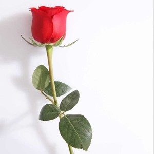 牵你的小手一起走