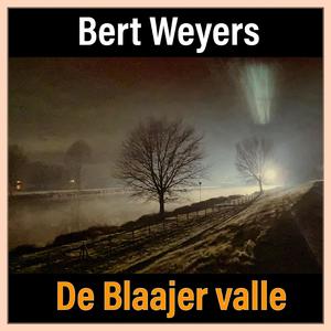 de Blaajer valle