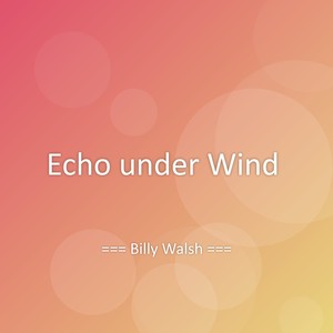 Echo under Wind