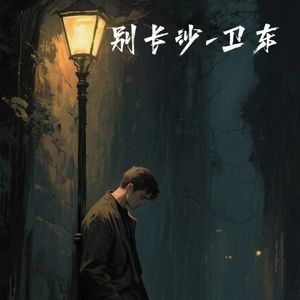 别长沙