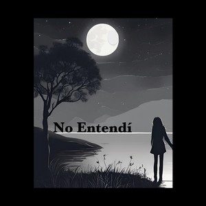 No entendí
