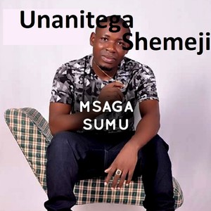 Unanitega Shemeji