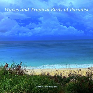 Waves and Tropical Birds of Paradise