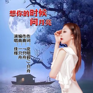 想你的时候问月亮