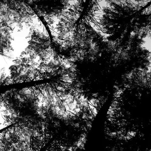 Stilts(feat. Laura Swankey & Michael Malis) (Explicit)